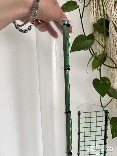 Тотемы для растений