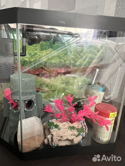 Аквариум