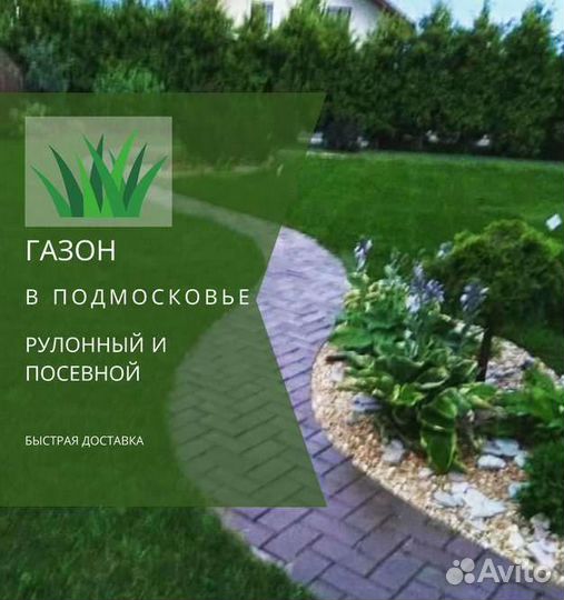 Рулонный газон