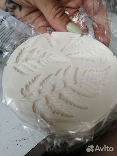 Молд новый папоротник