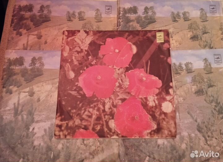 Виниловые грампластинки