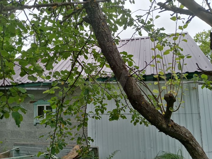 Дача 30 м² на участке 5 сот.