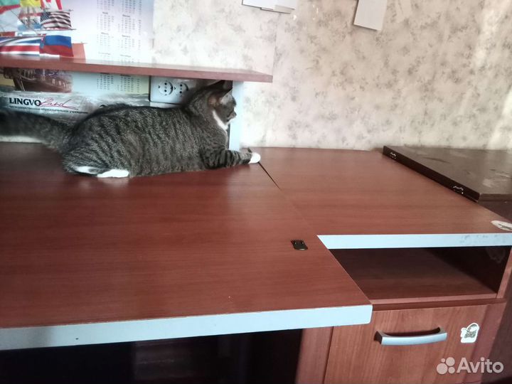 Компьютерный стол бу