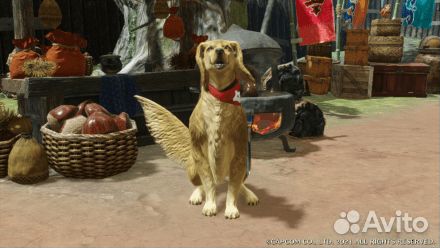 Monster Hunter Rise Бонус (DLC) Switch (Последний)