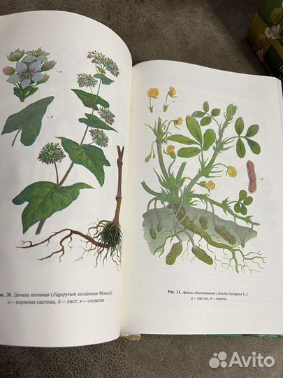 Полная энциклопедия народной медицины, 3 тома