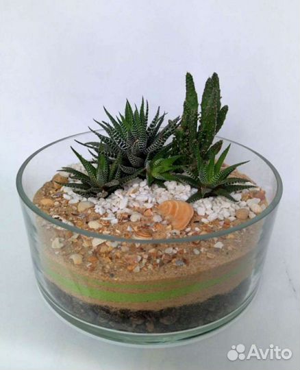 Цветочная композиция из суккулентов