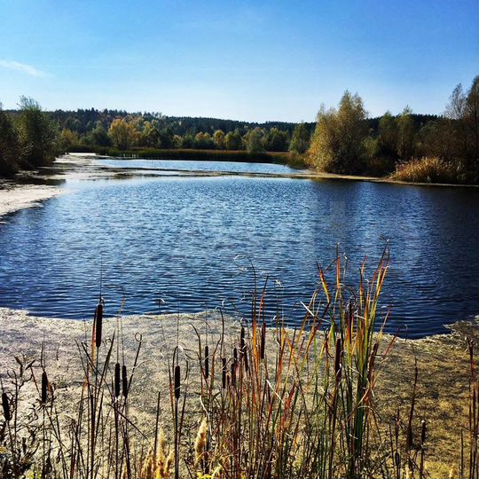 Участок 13,6 сот. (ИЖС)