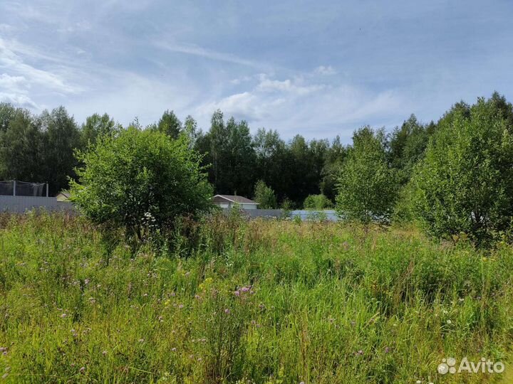 Покос травы триммером