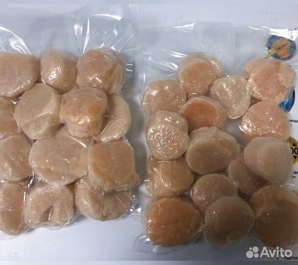 Гребешок Сахалин