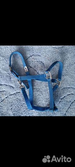 Конный спорт недоуздок вальтрап бинты ушки