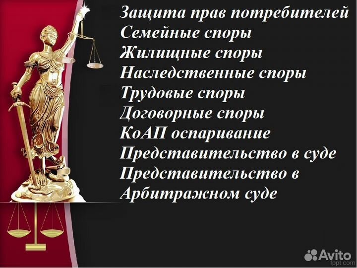 Профессиональный юрист