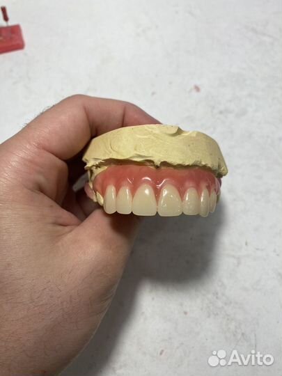 Зу Лаборатория