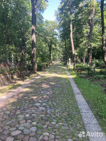 Уборка могил на кладбище, покраска оград