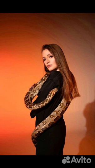 Фотосессия со змеёй, аренда змей