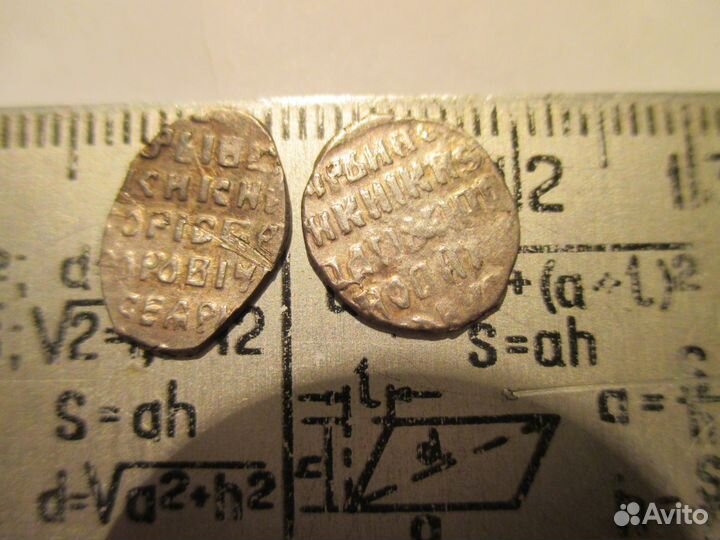 Чешуя,Михаил.Серебро