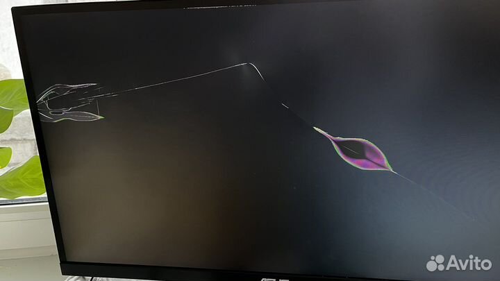 Монитор asus Vz279he сломан
