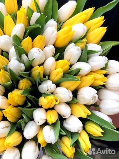 Тюльпаны к 8 марта