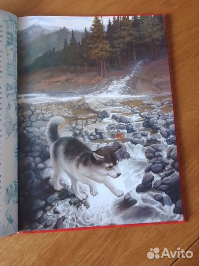 Белый клык. Робинзон Крузо