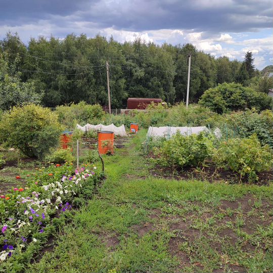 Участок 9 сот. (СНТ, ДНП)