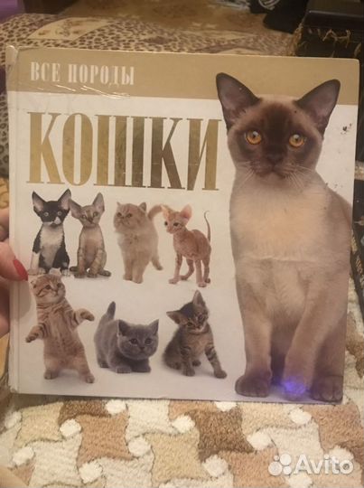 Книга про породы кошек