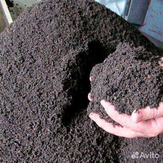 Биогумус (чистый концентрат) из конского навоза