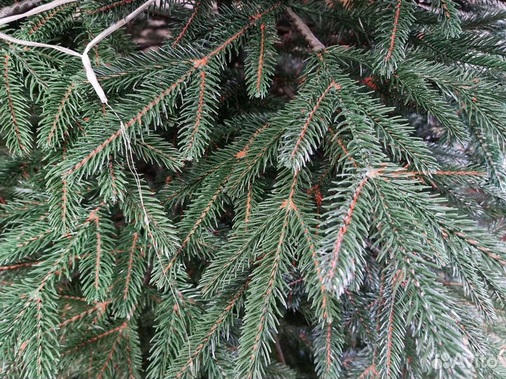 Ель литая игрушка