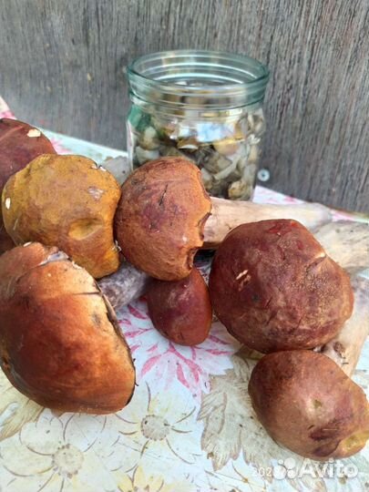 Маринованные грибы.красноголовики урожай 2023 г