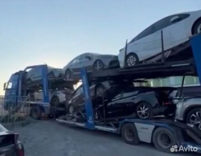 Автоперевозки