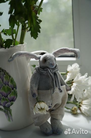 Кролик Тедди