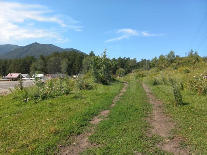 Участок 1,2 га (СНТ, ДНП)