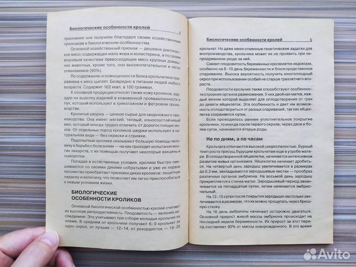 Разведение кроликов