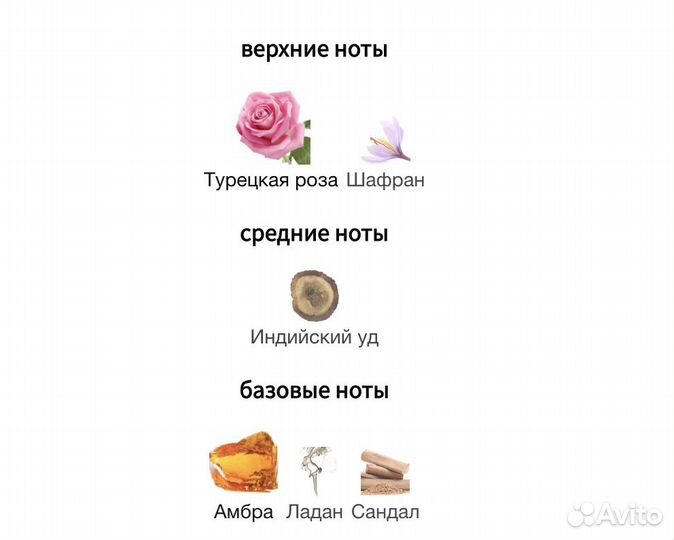 Frederic Malle The Night