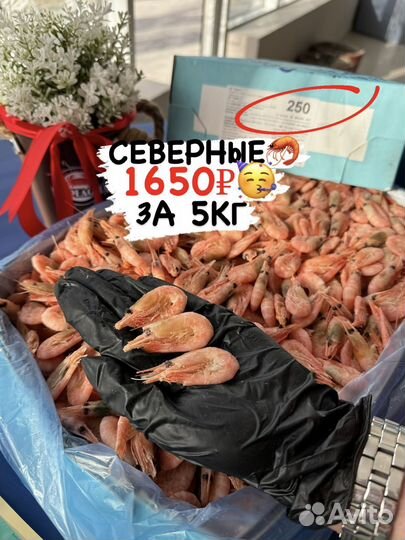 Креветки