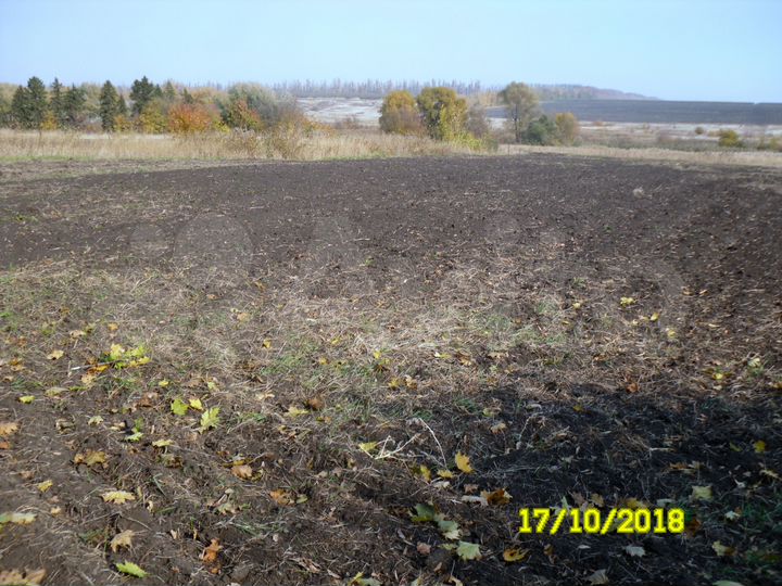 Участок 15 сот. (ИЖС)