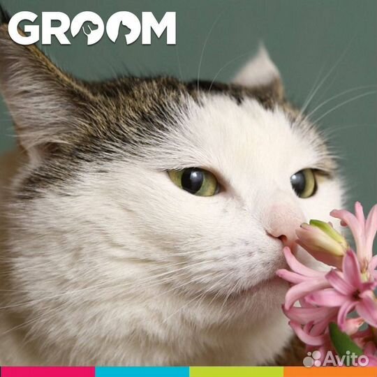 Модель на груминг