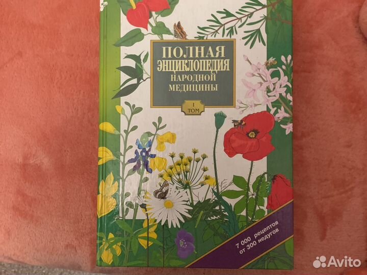 Толковый словарь Ожегов, Шведова