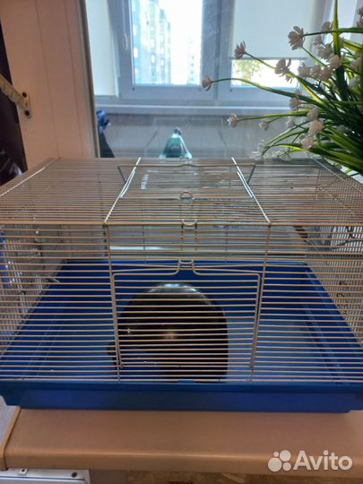 Клетка для грызунов продам
