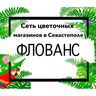 Пользователь