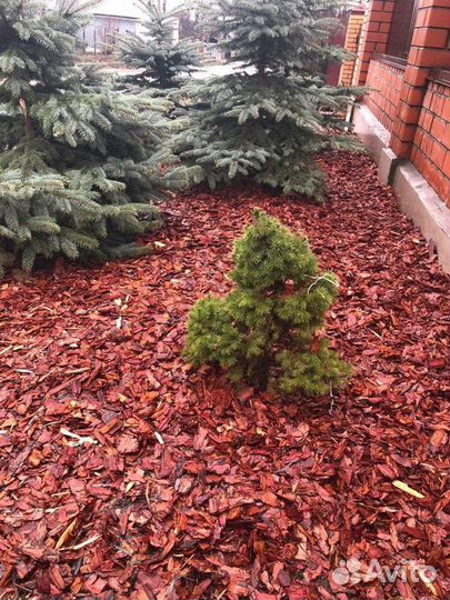 Мульча в наличии. Калуга