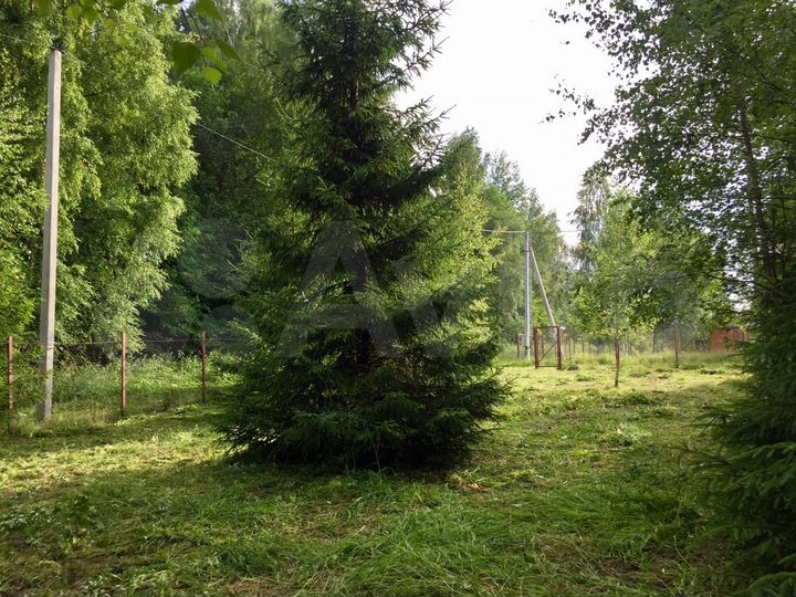 Участок 12 сот. (ИЖС)