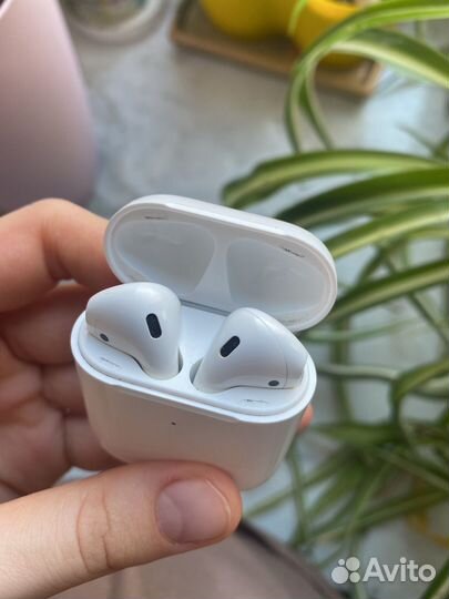 Apple airpods 2019 б/у