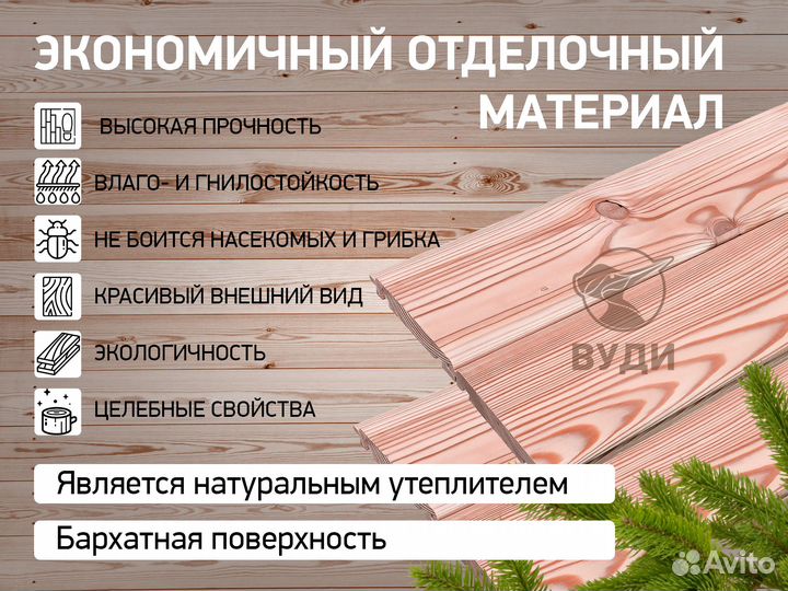 Вагонка Штиль Лиственница сибирская