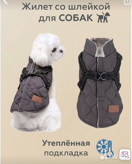 Одежда для собак