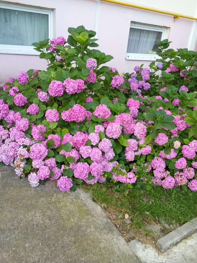 1-к. апартаменты, 29,4 м², 1/12 эт.