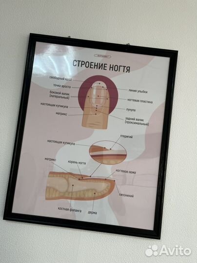 Плакат для мастера маникюра