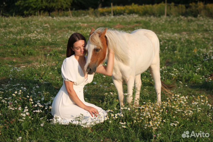Конные прогулки, тренировки