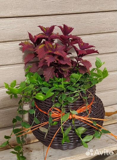 Кашпо для цветов