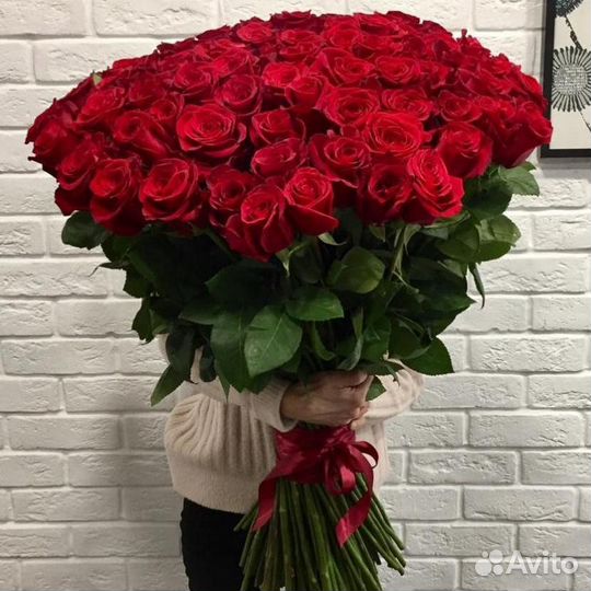 101 красная роза сорта “Фридом” пр-во Эквадор