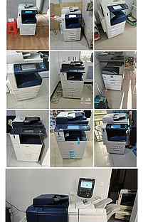 Мфу Xerox Altalink c8030 (в отличном состоянии)