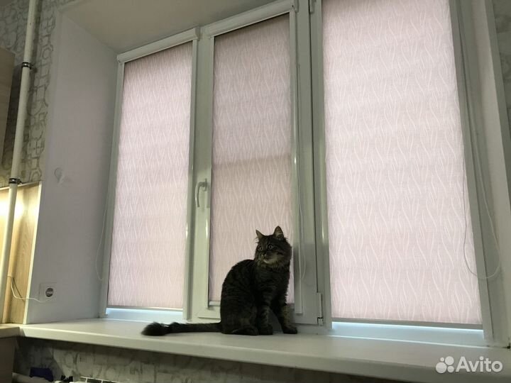 Рулонные шторы